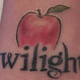Illustration for article titled Twilight Fans Stab, Choke, And Beat Haters Into Submission